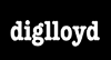 Diglloyd Logo
