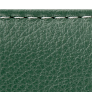 iFolio dark green Stitching