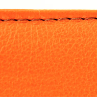 iFolio orange Stitching